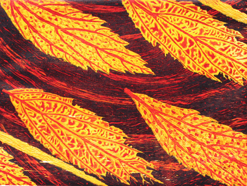 fall